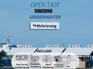 Open Trip: Bangsring Underwater