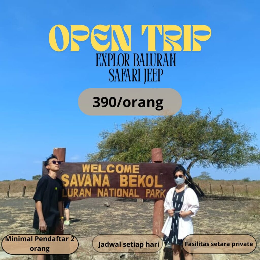 Open Trip : Explore Baluran Safari Jeep