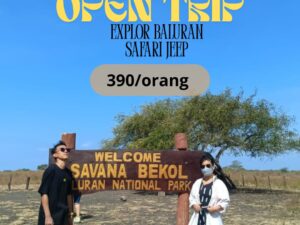 Open Trip : Explore Baluran Safari Jeep