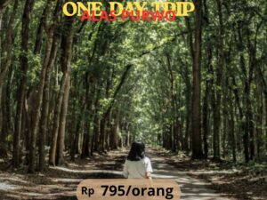 One Day Trip- Alas Purwo National Park