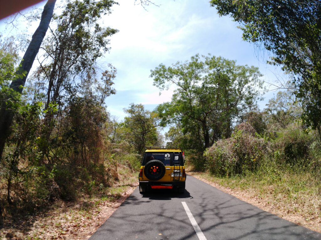 SING_20250913_064305