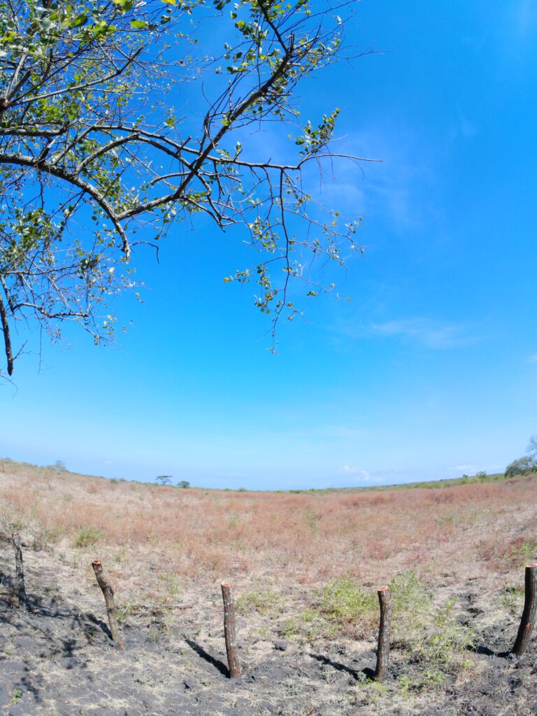 SING_20250917_212238