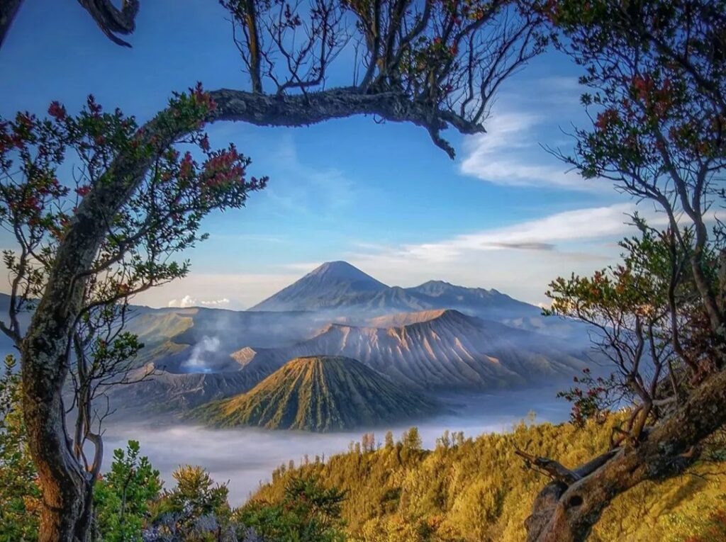 Bromo